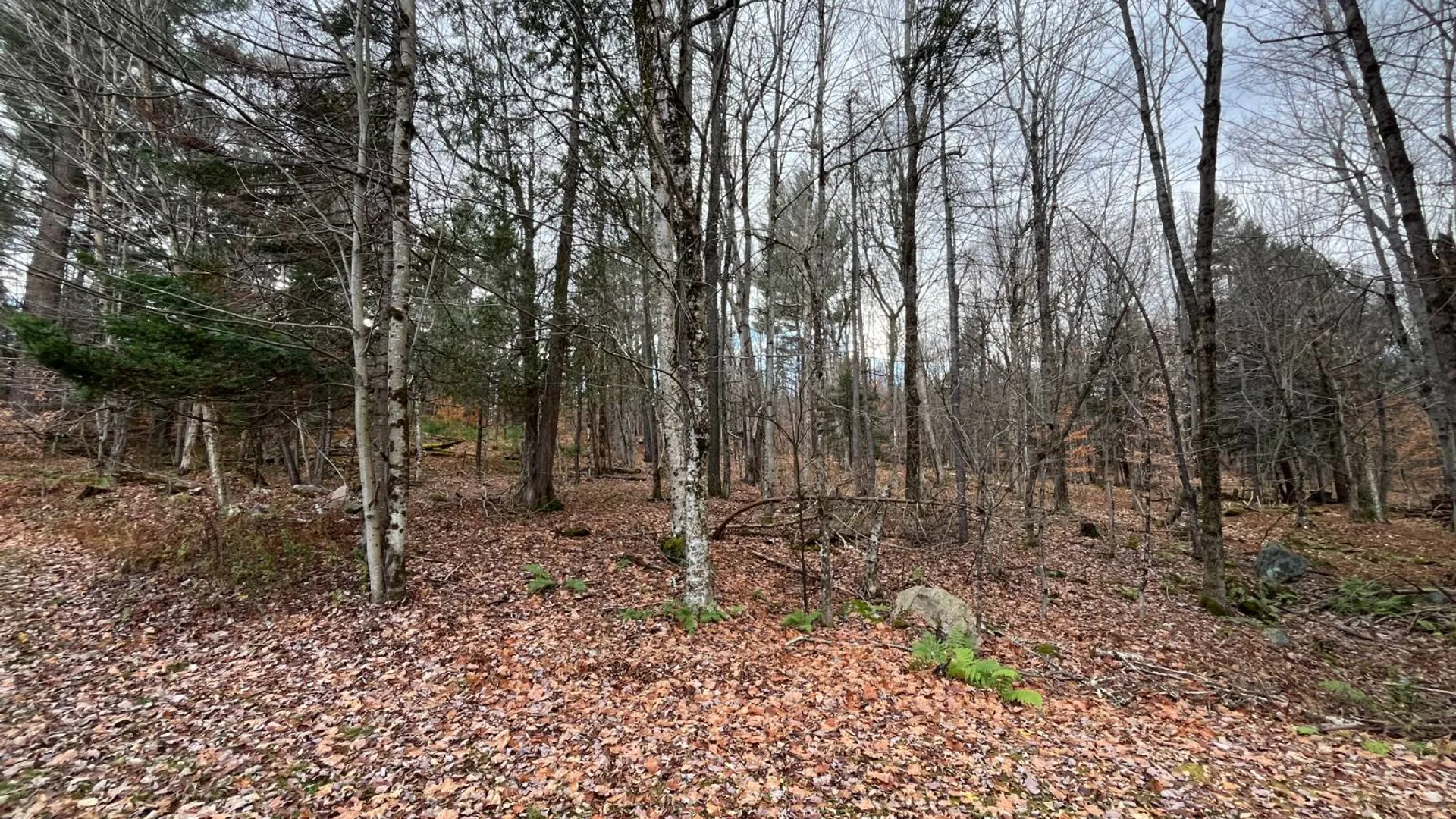 Property at 9 Boyd Pond 387 West, Russell, NY 13684 38