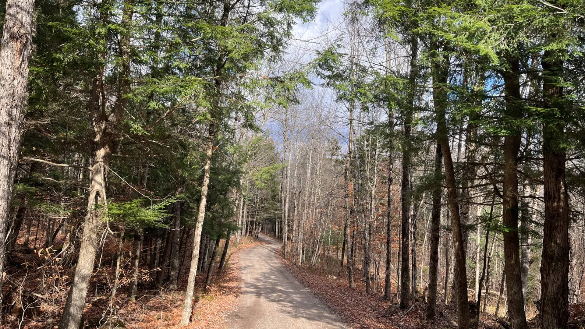 Property at 9 Boyd Pond 387 West, Russell, NY 13684 40