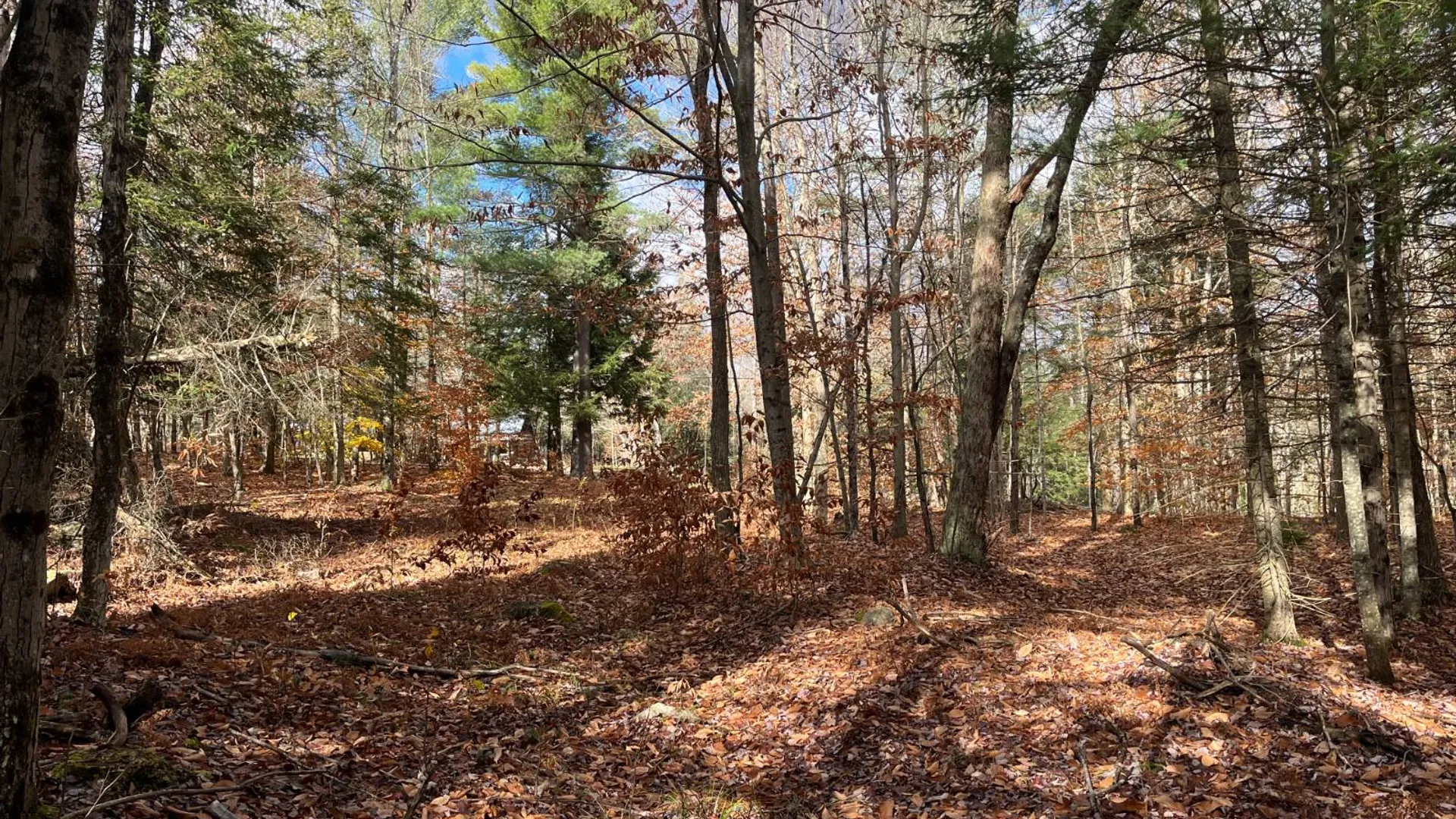 Property at 00 Boyd Pond Rd, Russell, NY 13684 11
