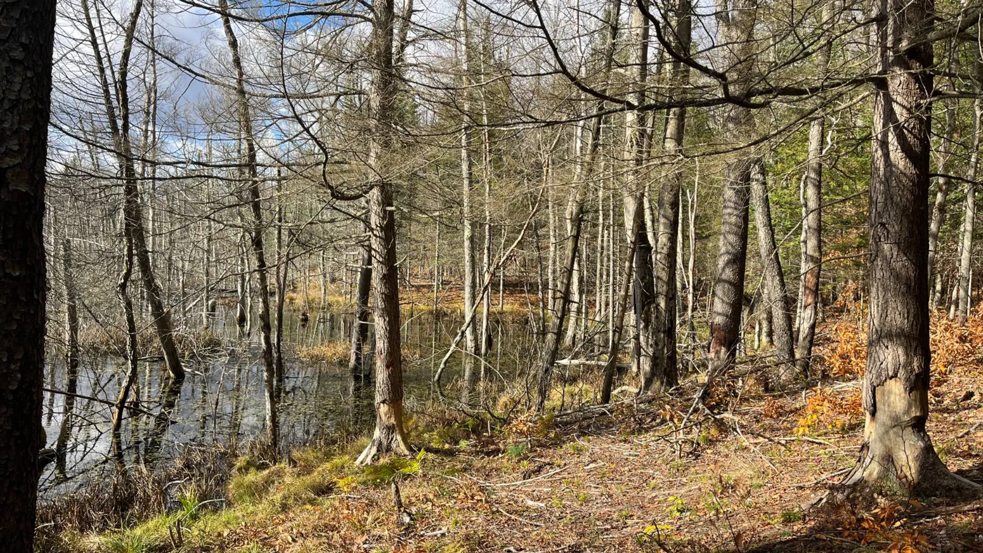 Property at 00 Boyd Pond Rd, Russell, NY 13684 12
