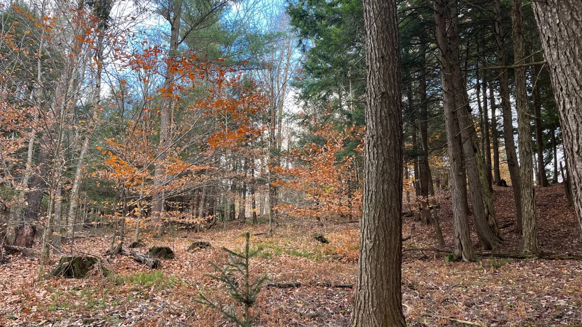 Property at 00 Boyd Pond Rd, Russell, NY 13684 17