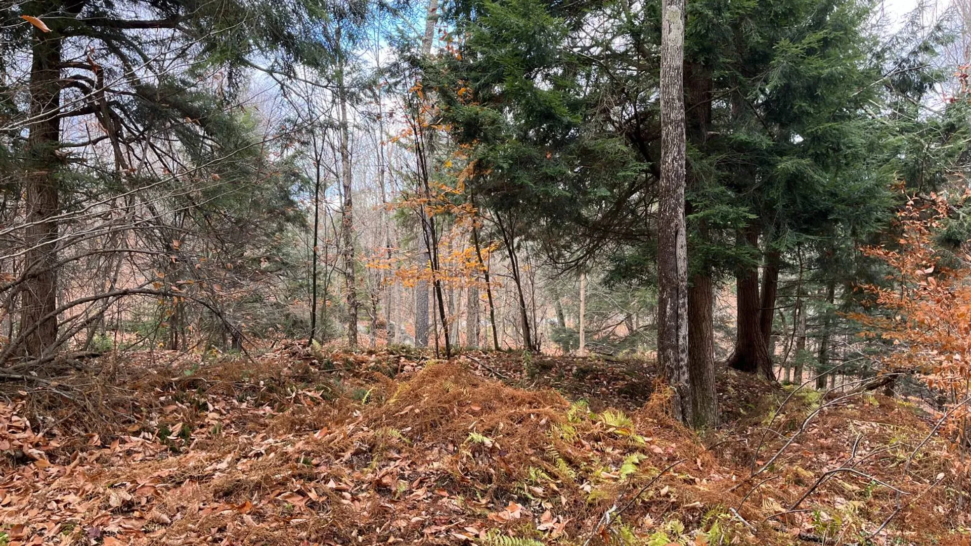 Property at 00 Boyd Pond Rd, Russell, NY 13684 18