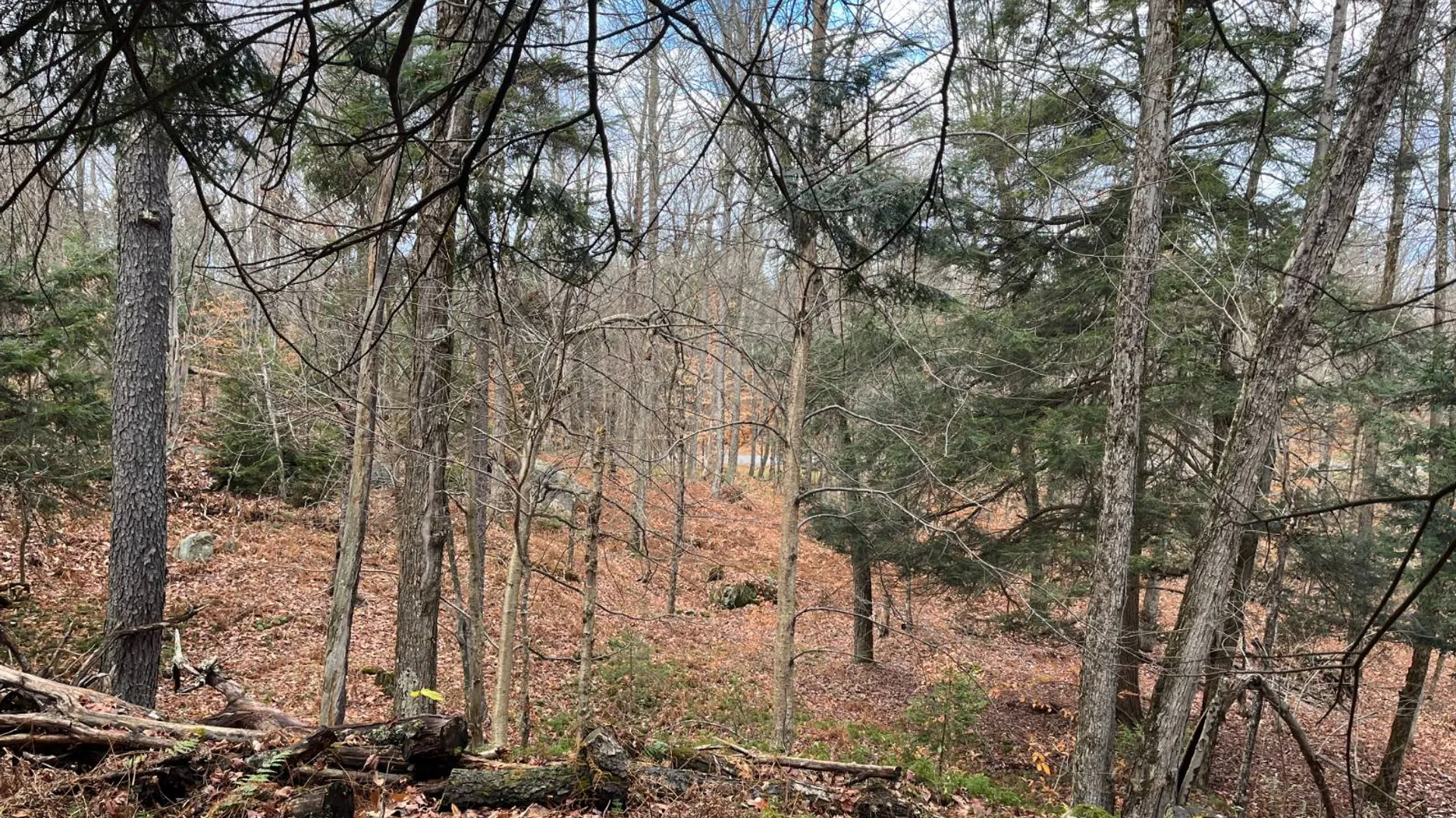 Property at 00 Boyd Pond Rd, Russell, NY 13684 19