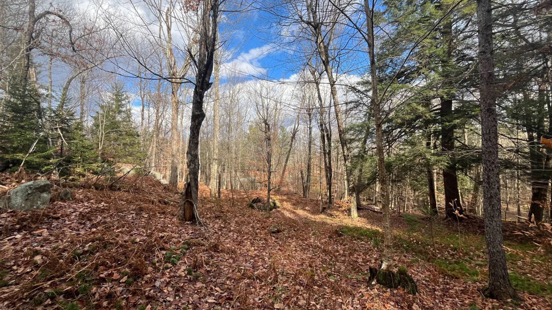 Property at 00 Boyd Pond Rd, Russell, NY 13684 20