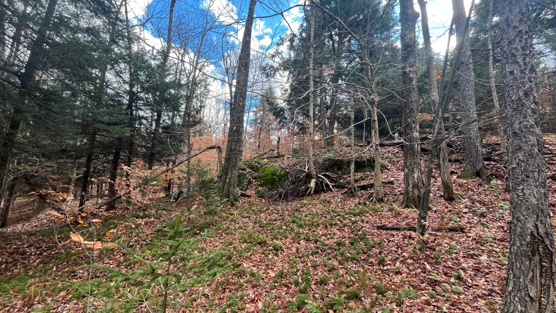 Property at 00 Boyd Pond Rd, Russell, NY 13684 21