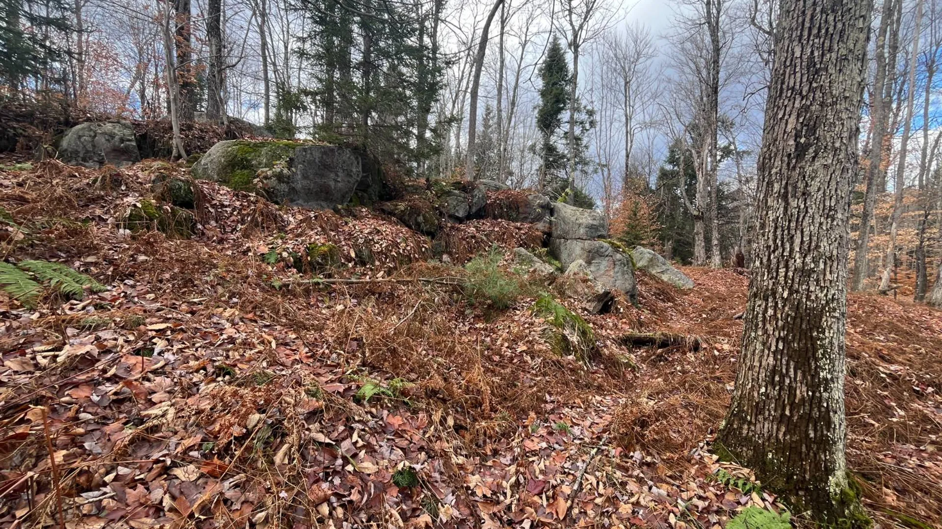 Property at 00 Boyd Pond Rd, Russell, NY 13684 22