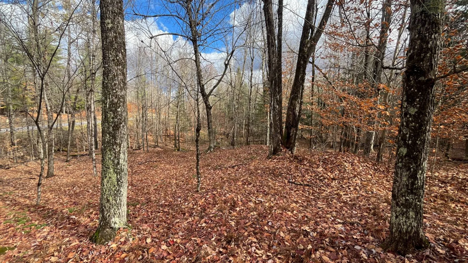 Property at 00 Boyd Pond Rd, Russell, NY 13684 23