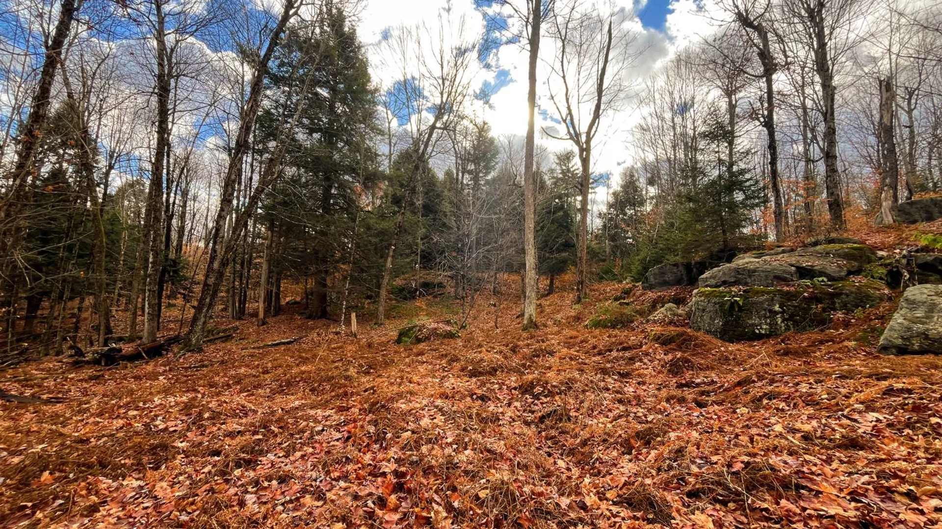 Property at 00 Boyd Pond Rd, Russell, NY 13684 24