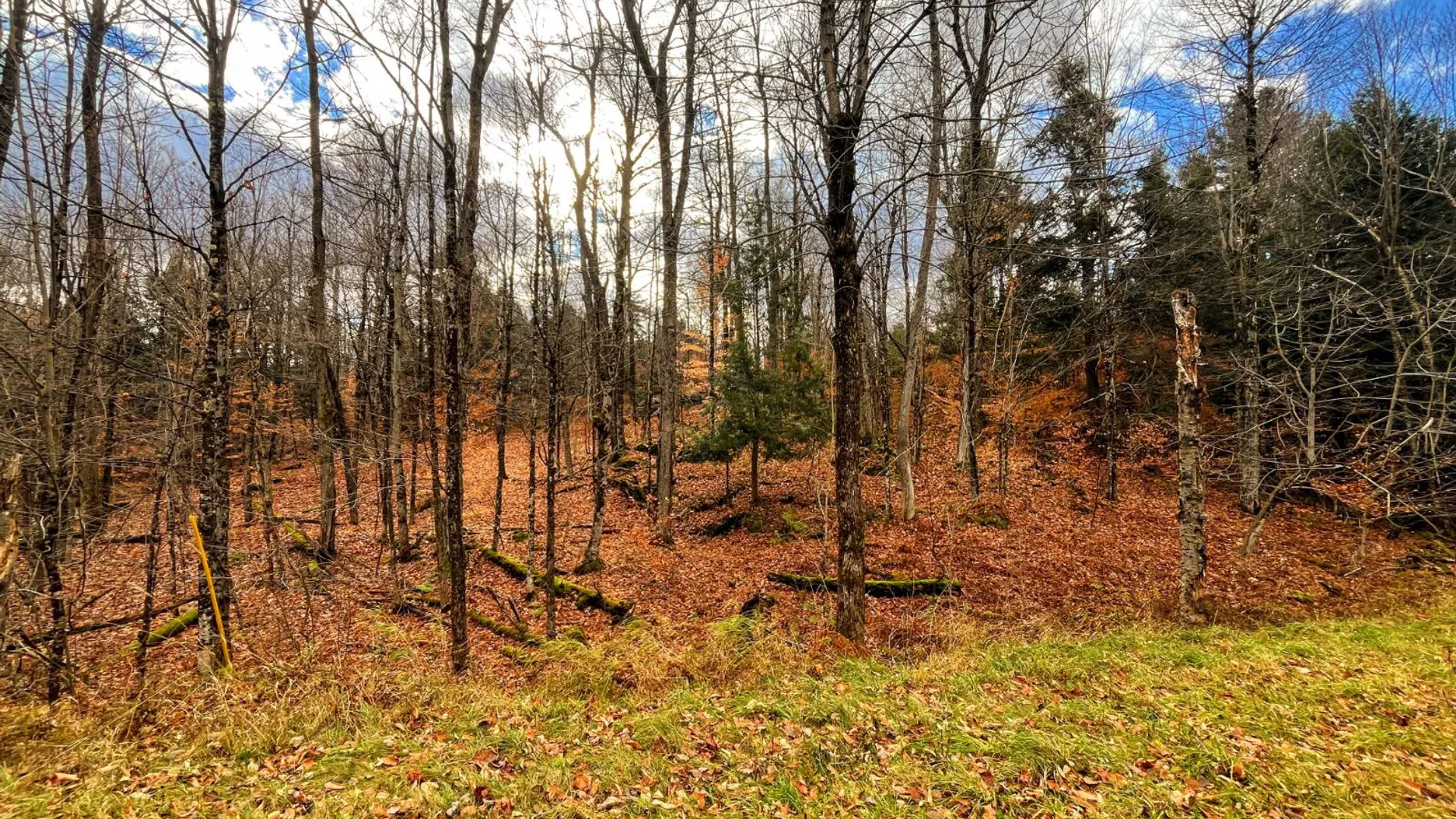 Property at 00 Boyd Pond Rd, Russell, NY 13684 25