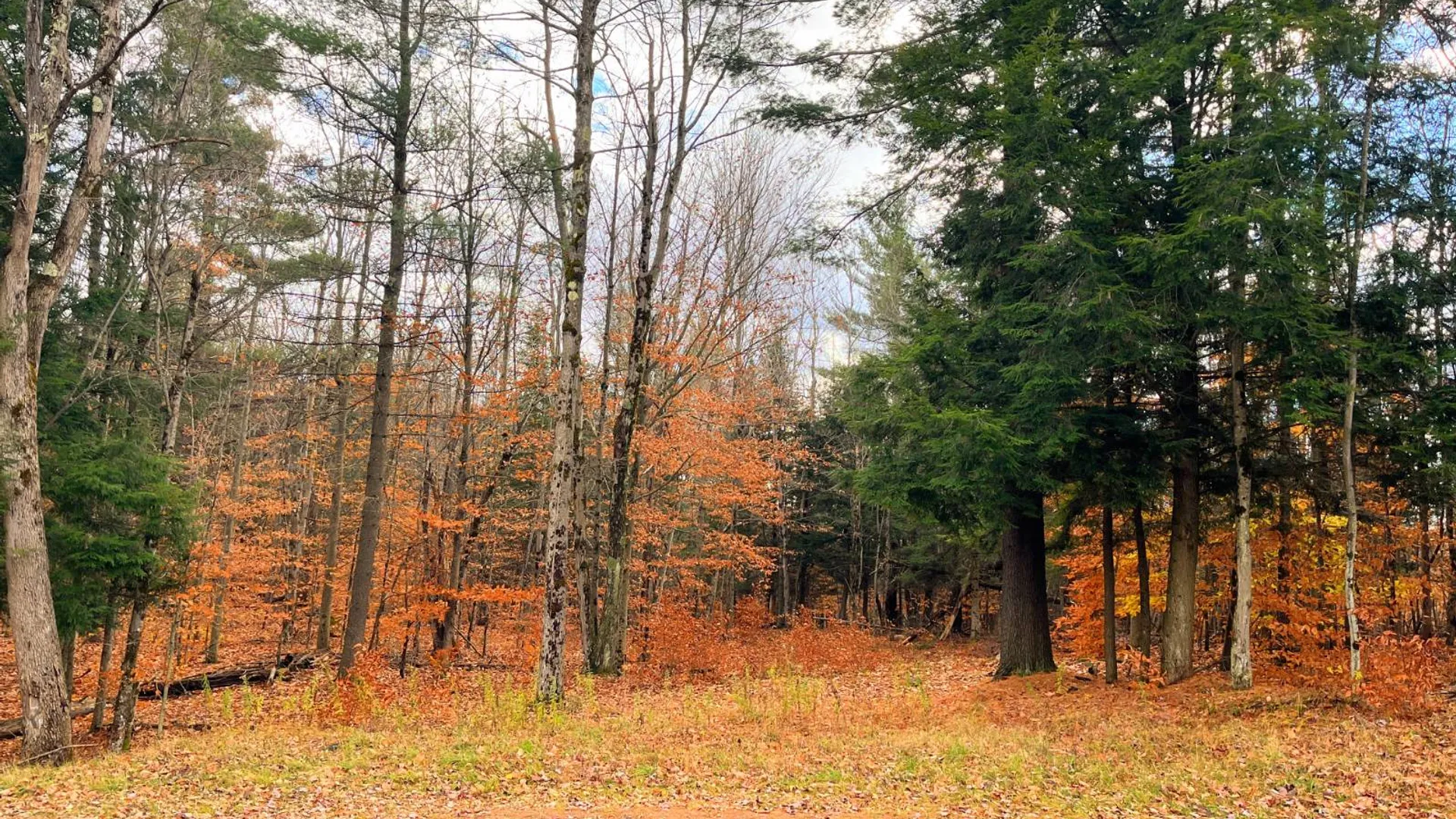 Property at 00 Boyd Pond Rd, Russell, NY 13684 8