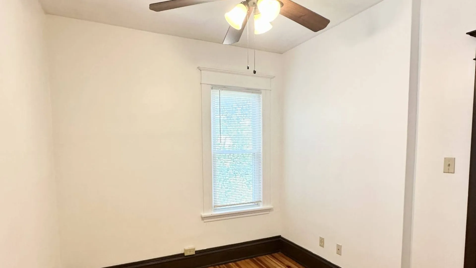 Property at 423 Hamilton St, Albany, NY 12203 15