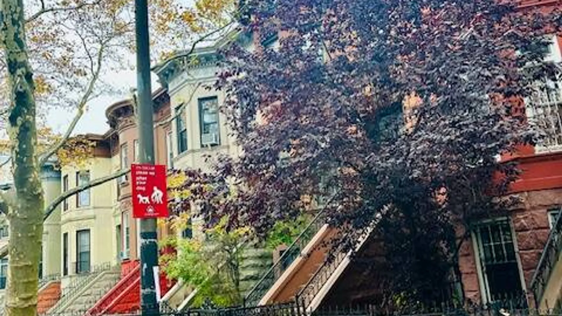 Property at 1073 Prospect Place, Brooklyn, NY 11213 2