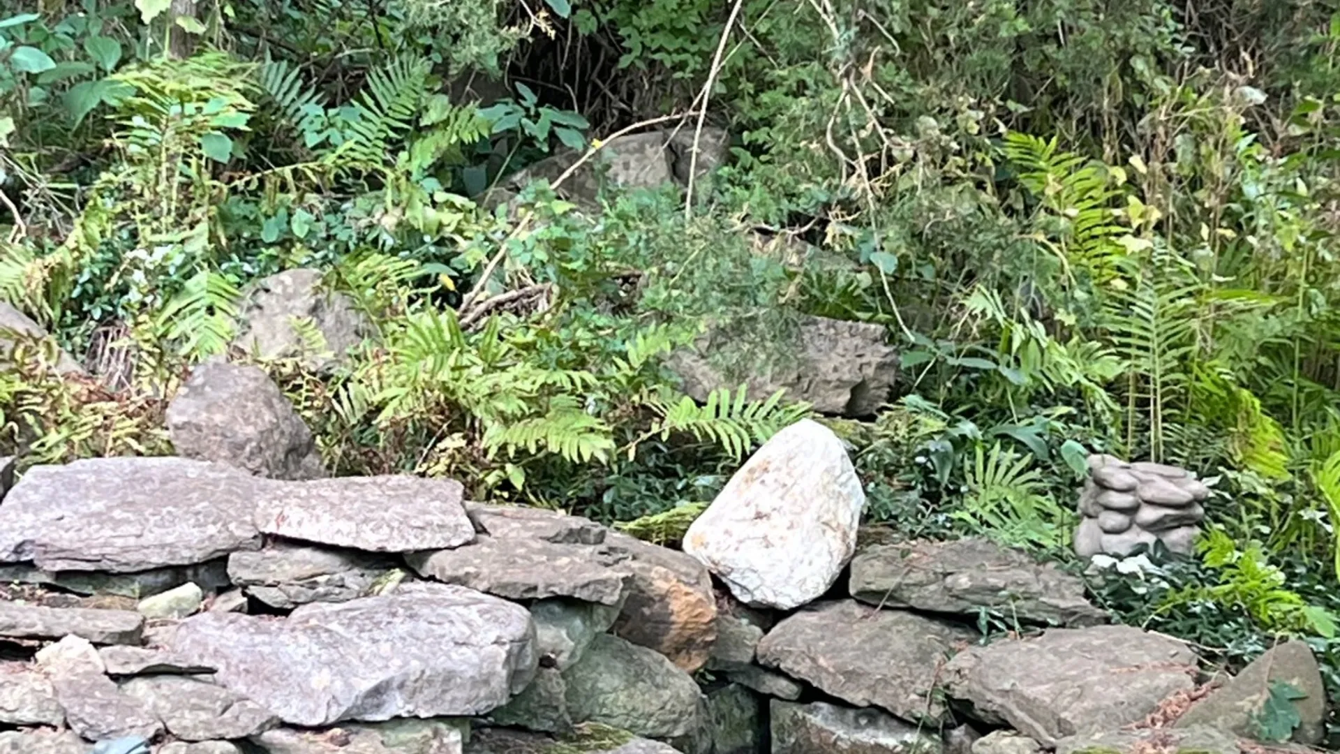 Property at 1679 Mill Road, St. Johnsville, NY 13452 66