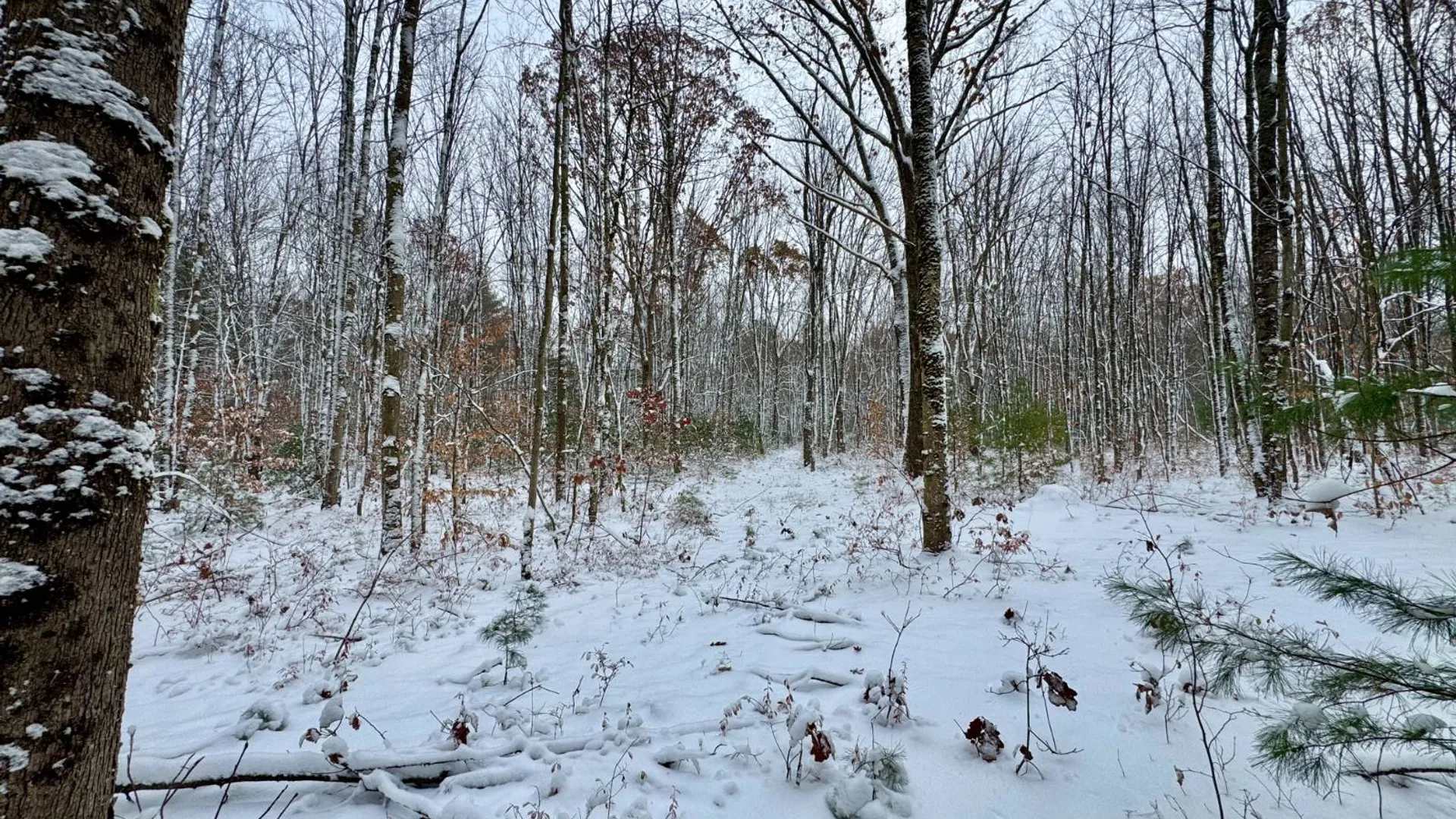 Property at 1.1 Preston Hill Road, Camden, NY 13316 12