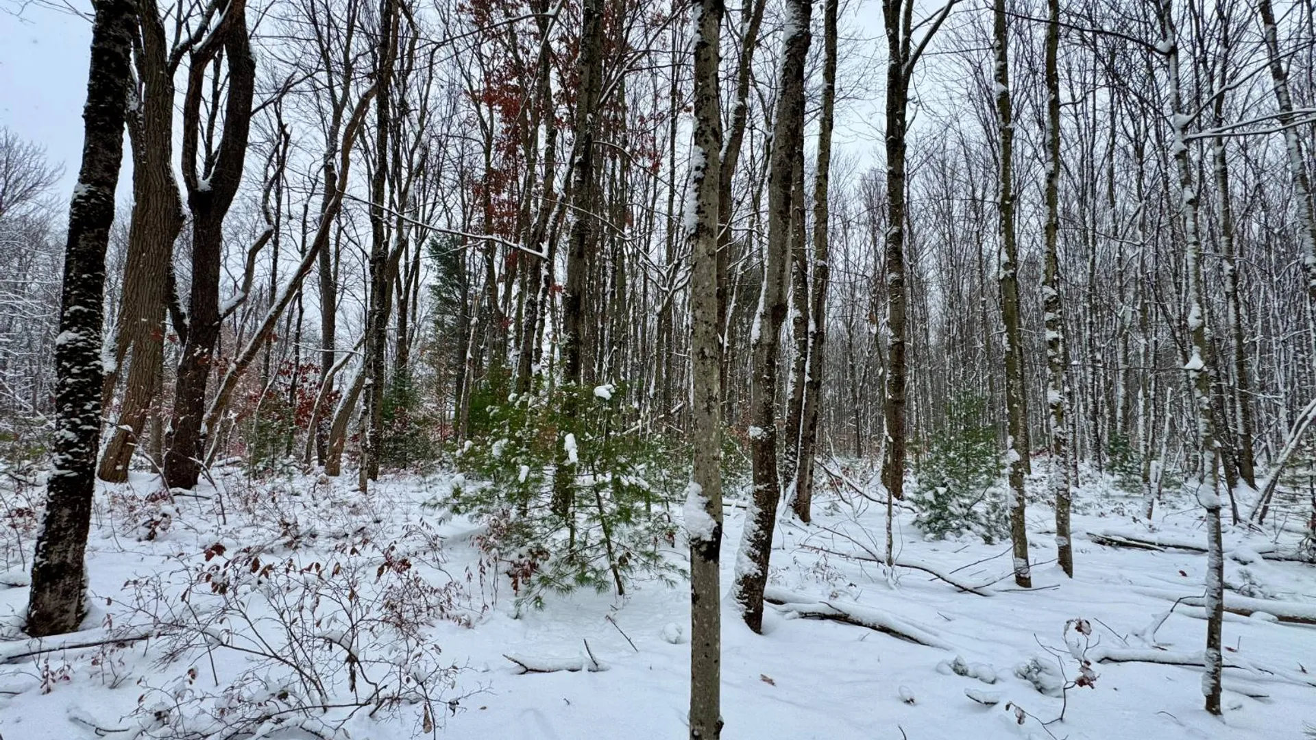 Property at 1.1 Preston Hill Road, Camden, NY 13316 13