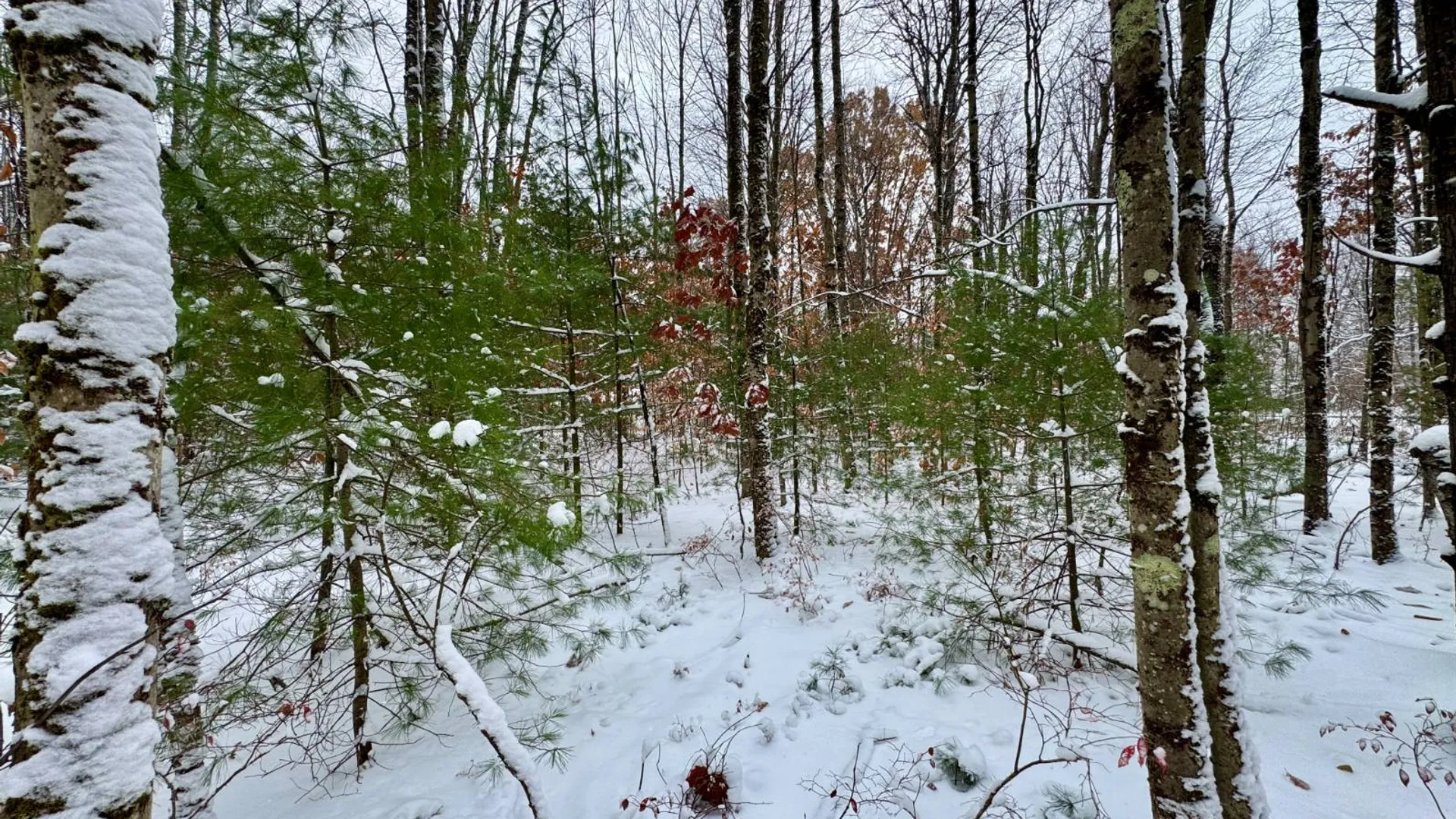Property at 1.2 Preston Hill Road, Camden, NY 13316 12