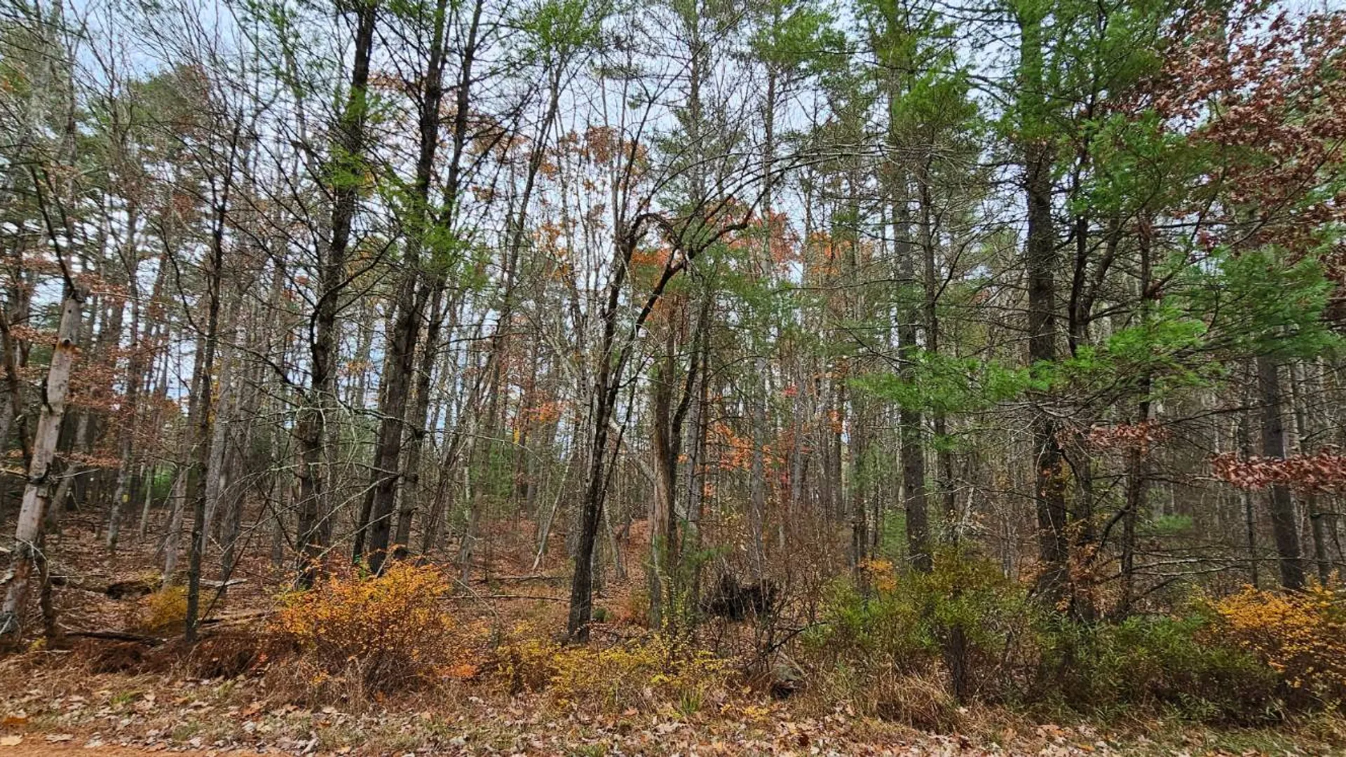 Property at Lot 28 Summit Dr, Eldred, NY 12732 2