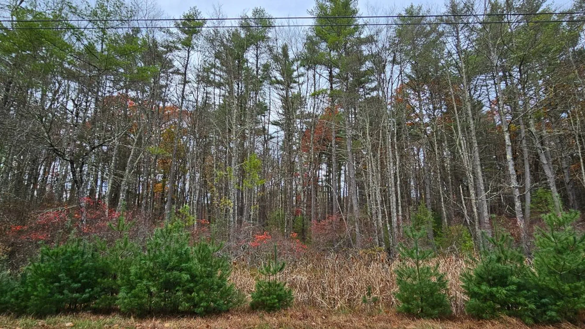 Property at Lot 28 Summit Dr, Eldred, NY 12732 3