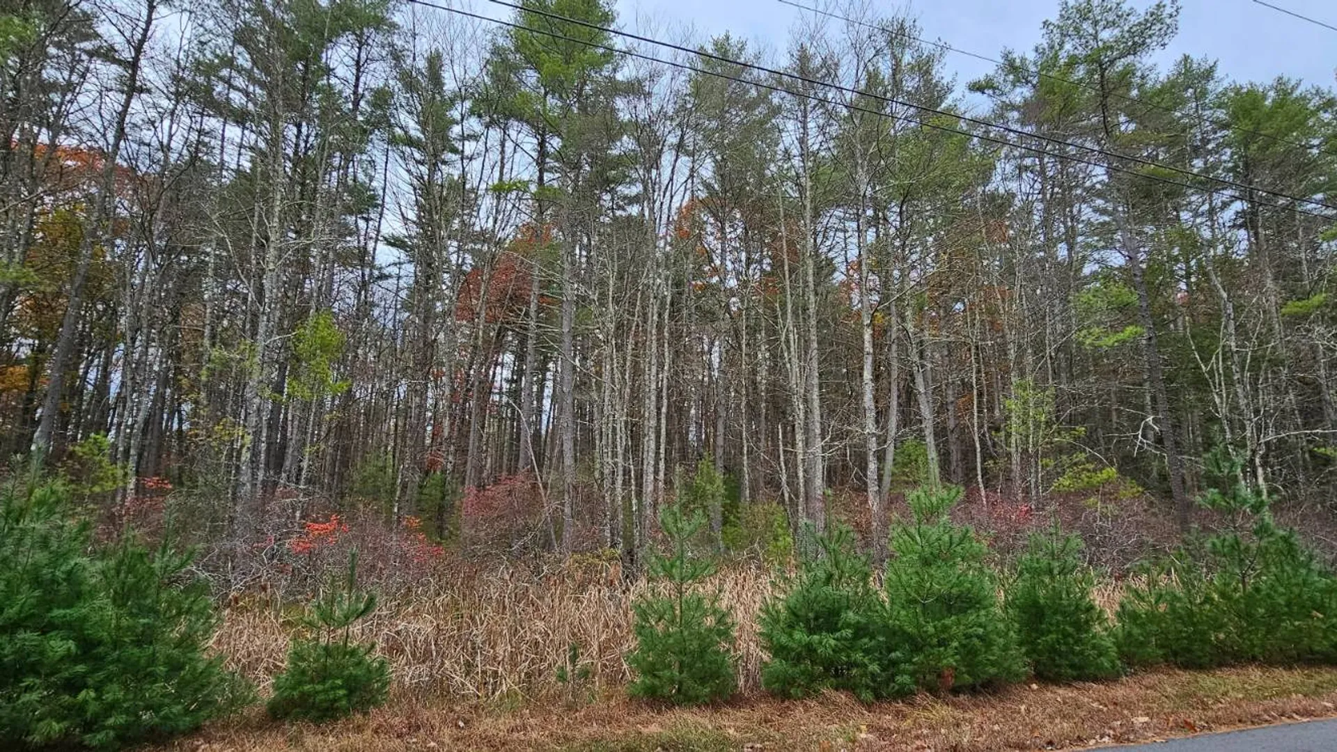 Property at Lot 28 Summit Dr, Eldred, NY 12732 4