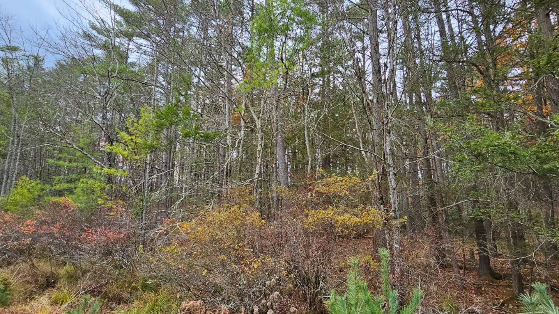 Property at Lot 28 Summit Dr, Eldred, NY 12732 6