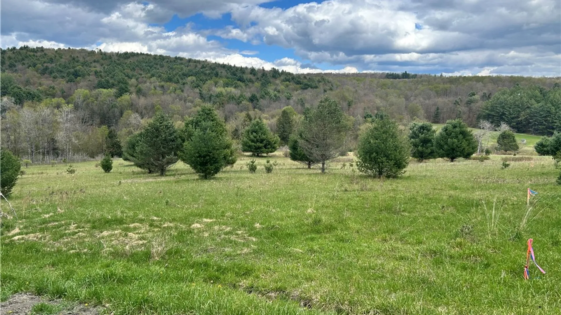 Property at Mary Brown Hill Road, Laurens, NY 13796 2