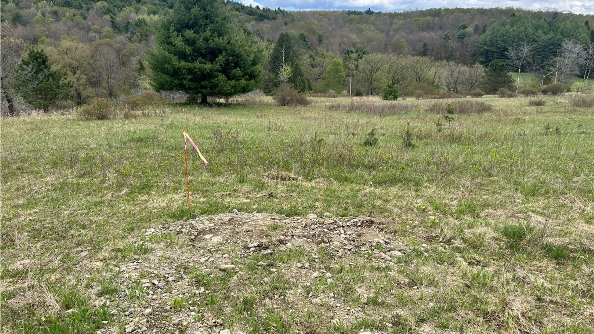 Property at Mary Brown Hill Road, Laurens, NY 13796 4