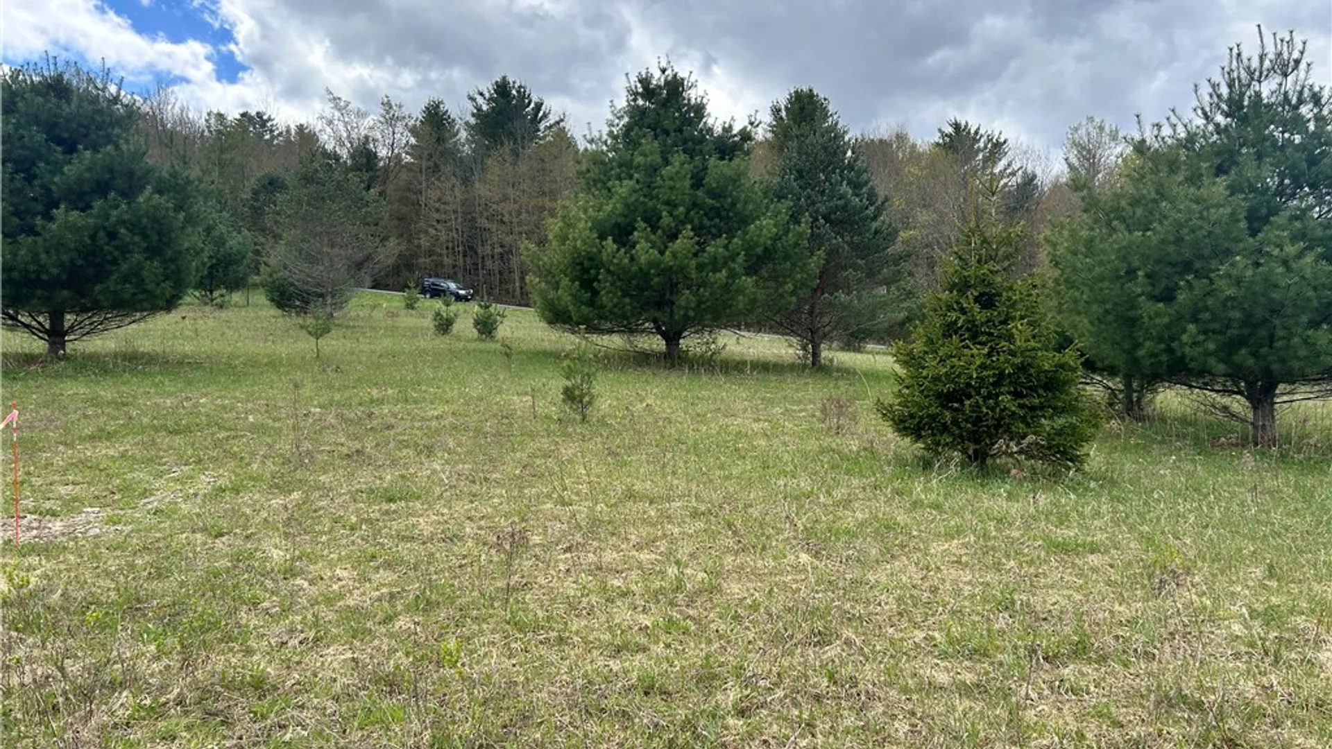Property at Mary Brown Hill Road, Laurens, NY 13796 7
