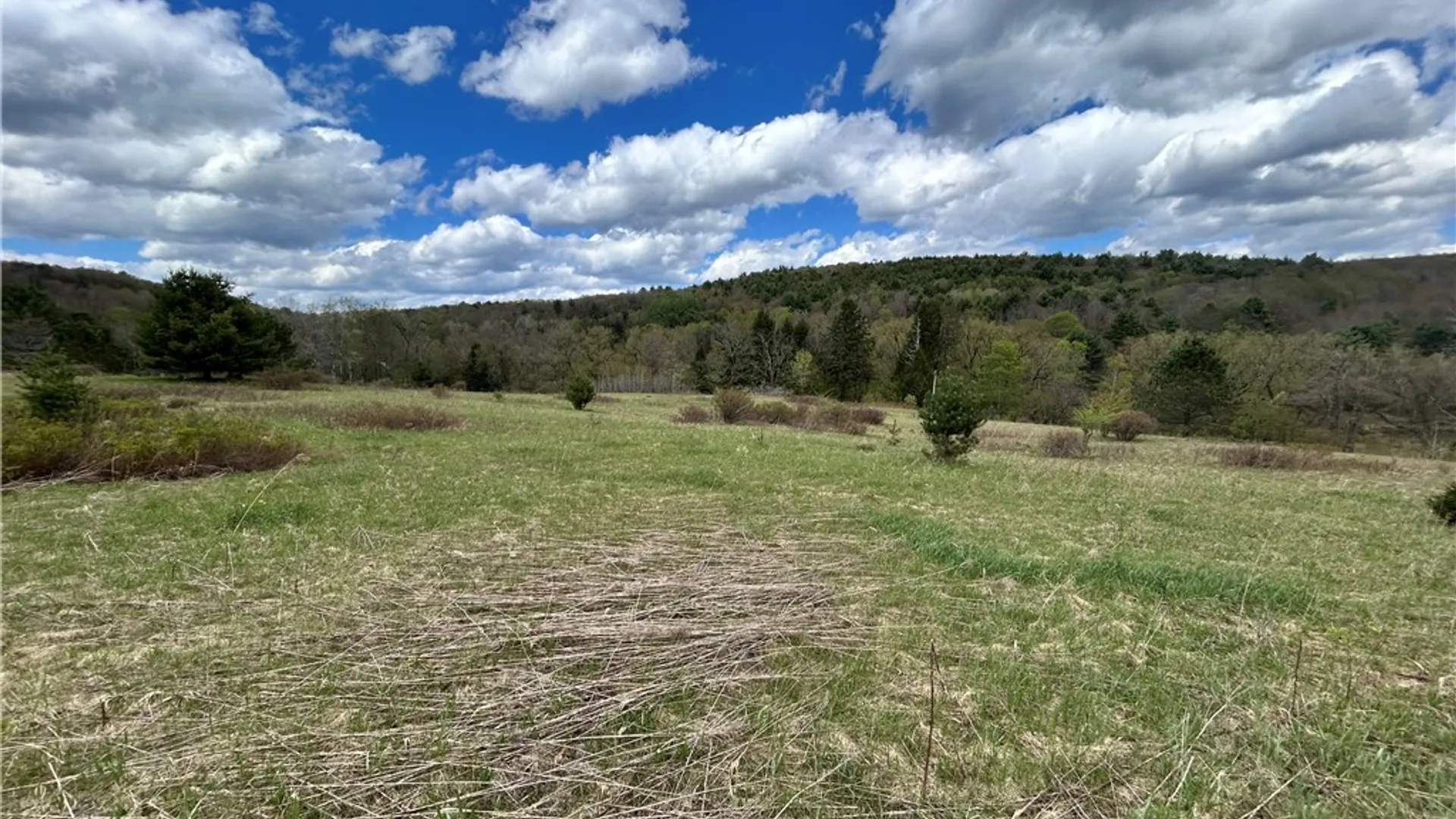 Property at Mary Brown Hill Road, Laurens, NY 13796 9