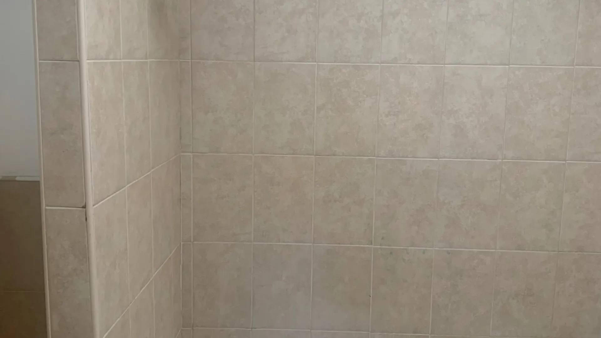 Property at 463 vanburen, brooklyn, NY 11221 9