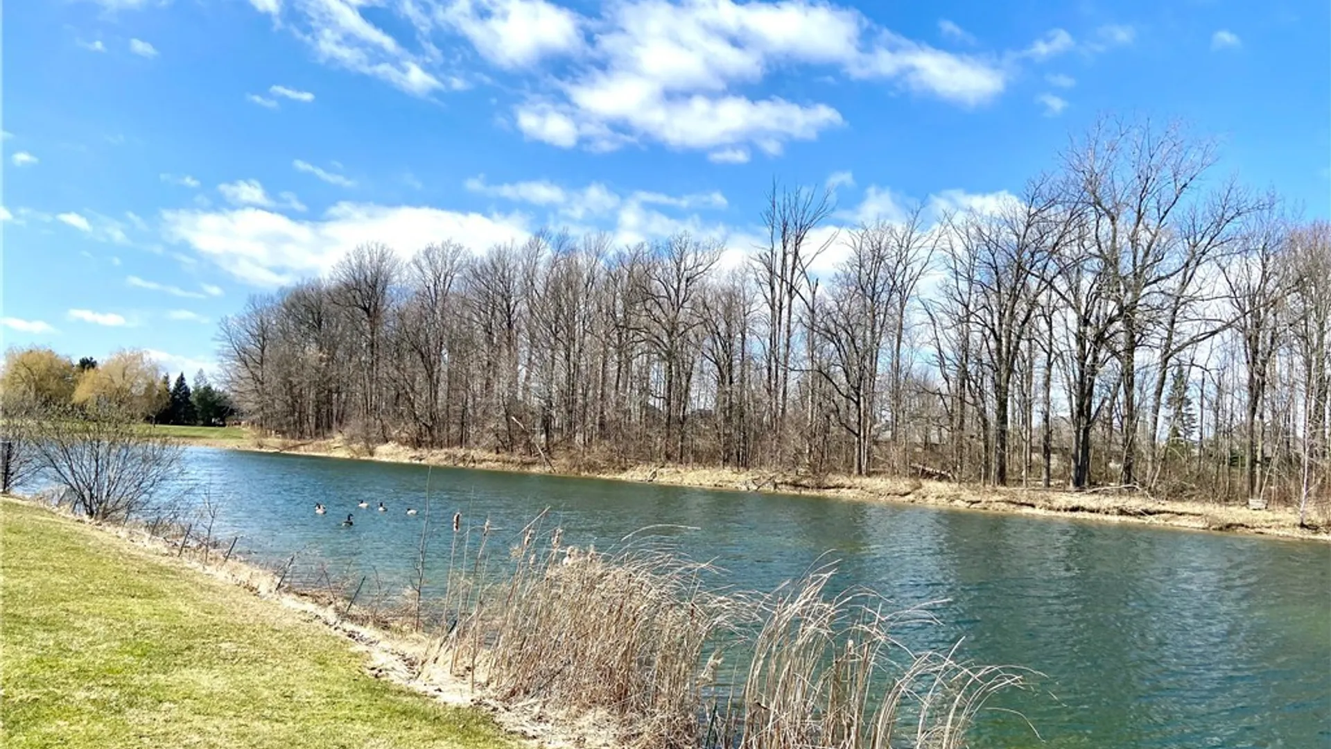 Property at 5458 Center Pine Lane, Clarence, NY 14221 34