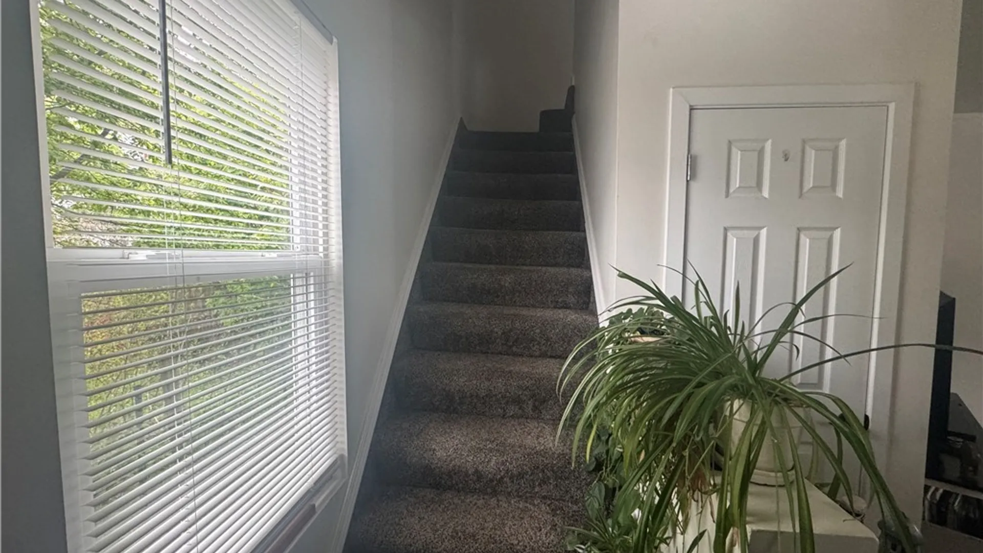 Property at 1015 Ferguson Avenue, Watertown City, NY 13601 11
