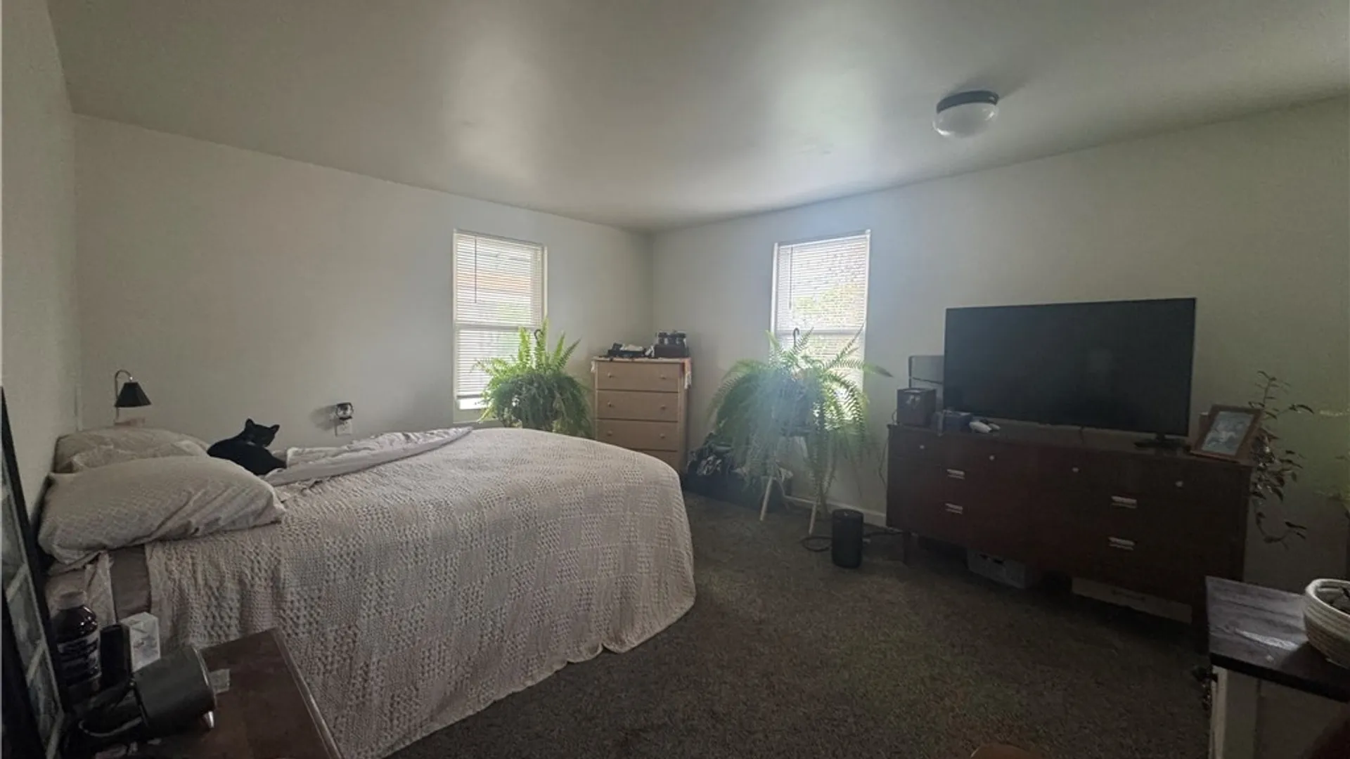 Property at 1015 Ferguson Avenue, Watertown City, NY 13601 16