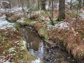 Property at 0 Rt 8, Cold Brook, NY 13324