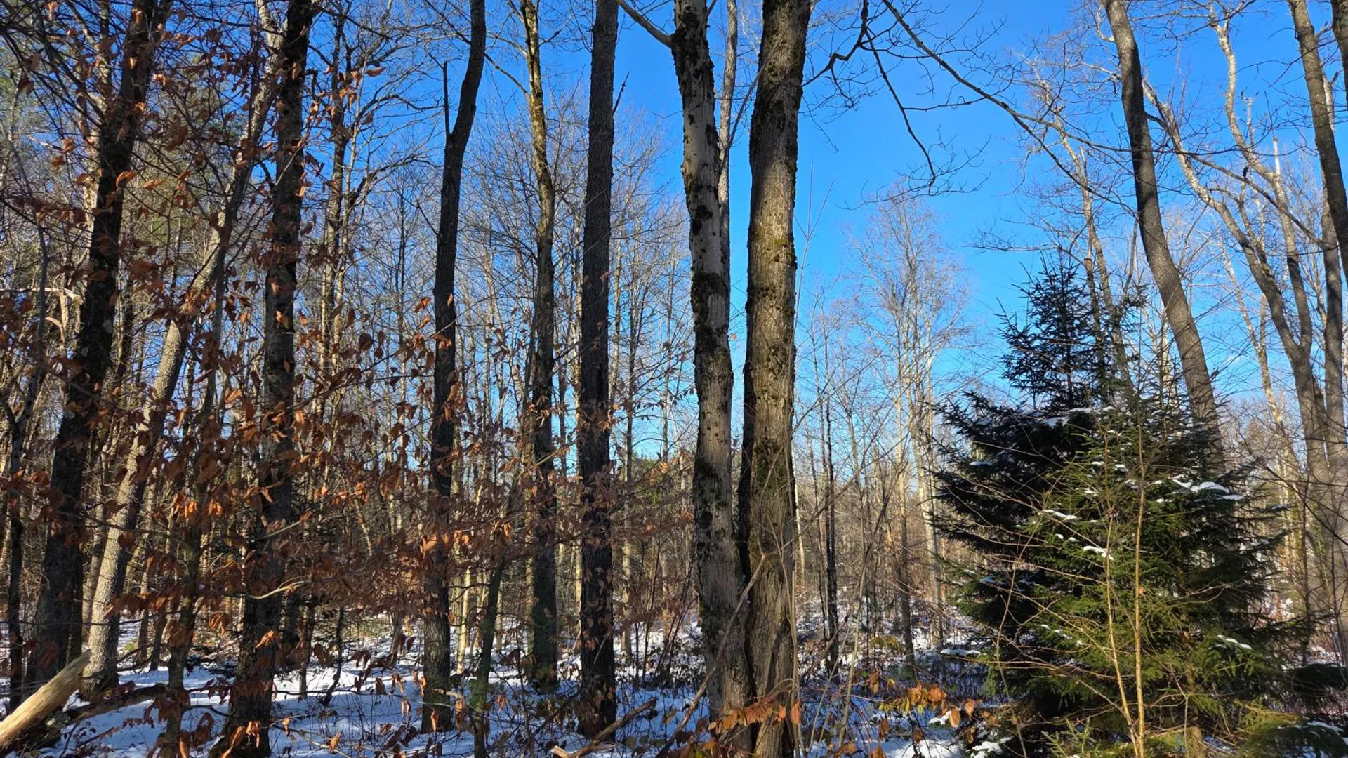 Property at 709 Kirk Rd., Lewis, NY 13489 10