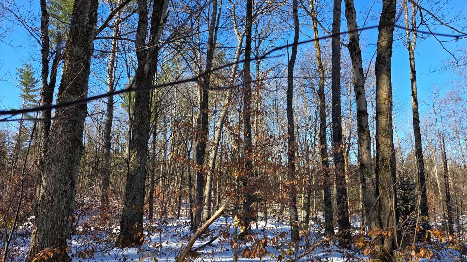 Property at 709 Kirk Rd., Lewis, NY 13489 11