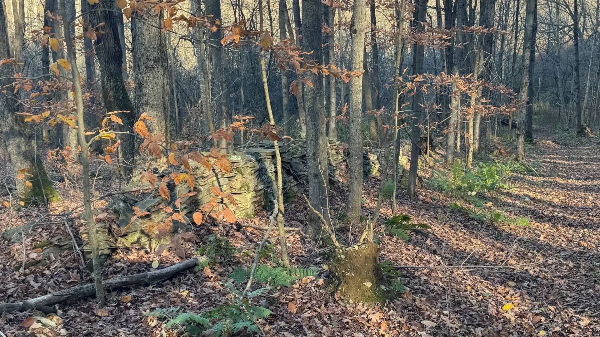 Property at 00 Town Line Rd, McGraw, NY 13101 10