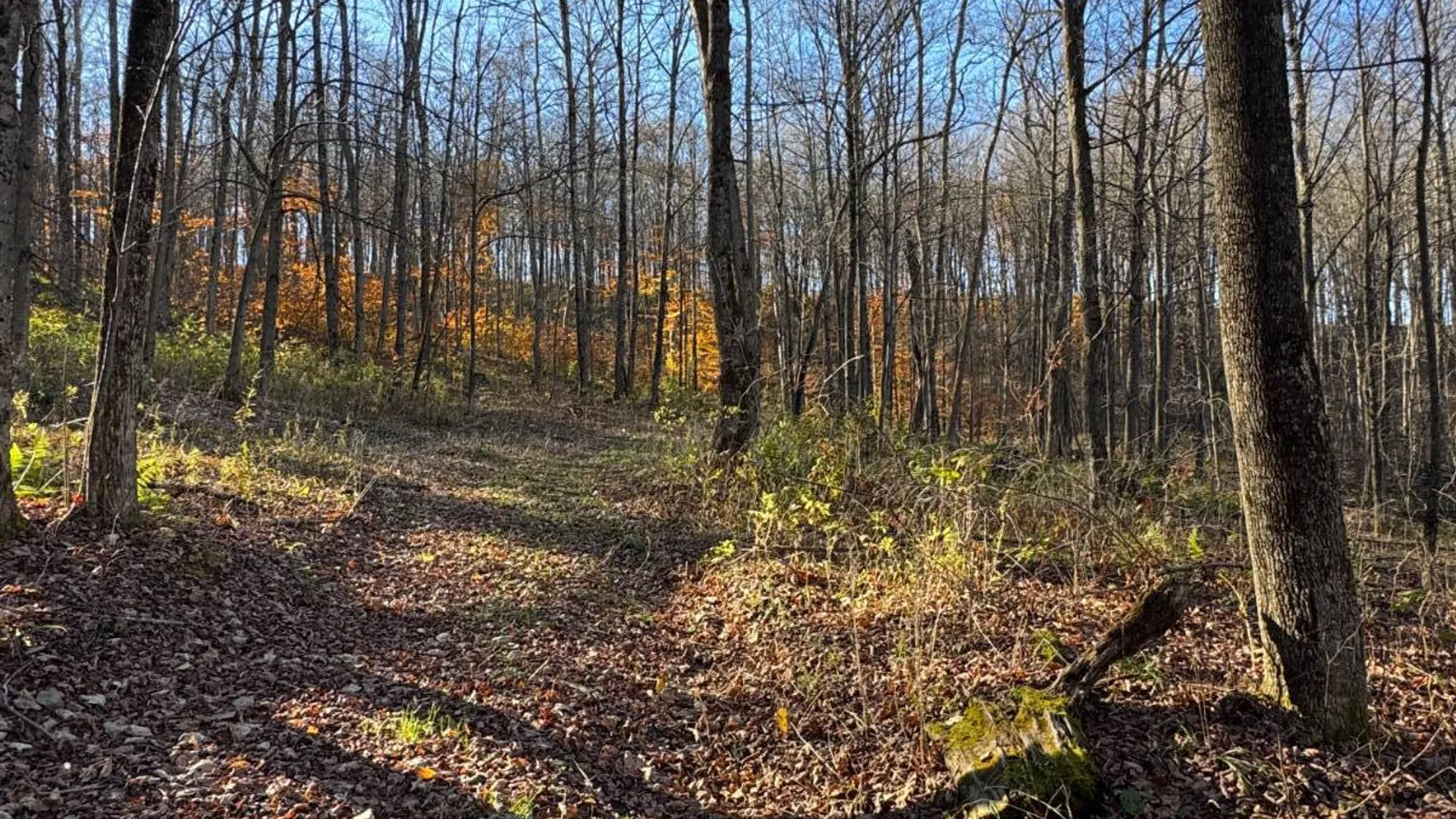 Property at 00 Town Line Rd, McGraw, NY 13101 12