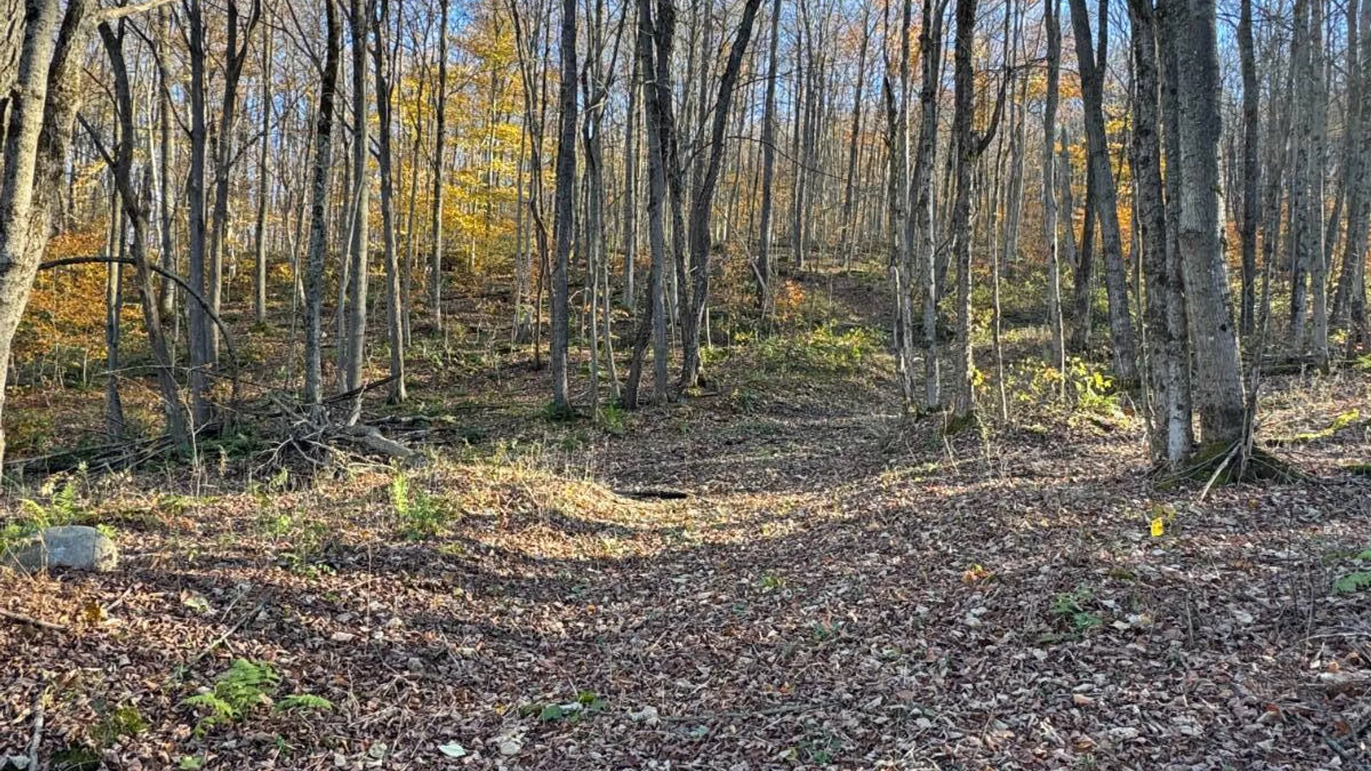 Property at 00 Town Line Rd, McGraw, NY 13101 13