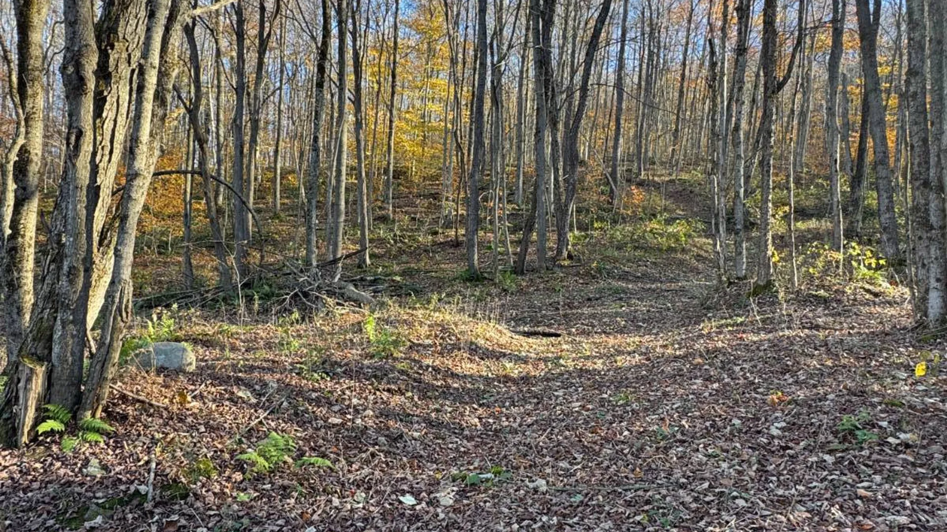 Property at 00 Town Line Rd, McGraw, NY 13101 14