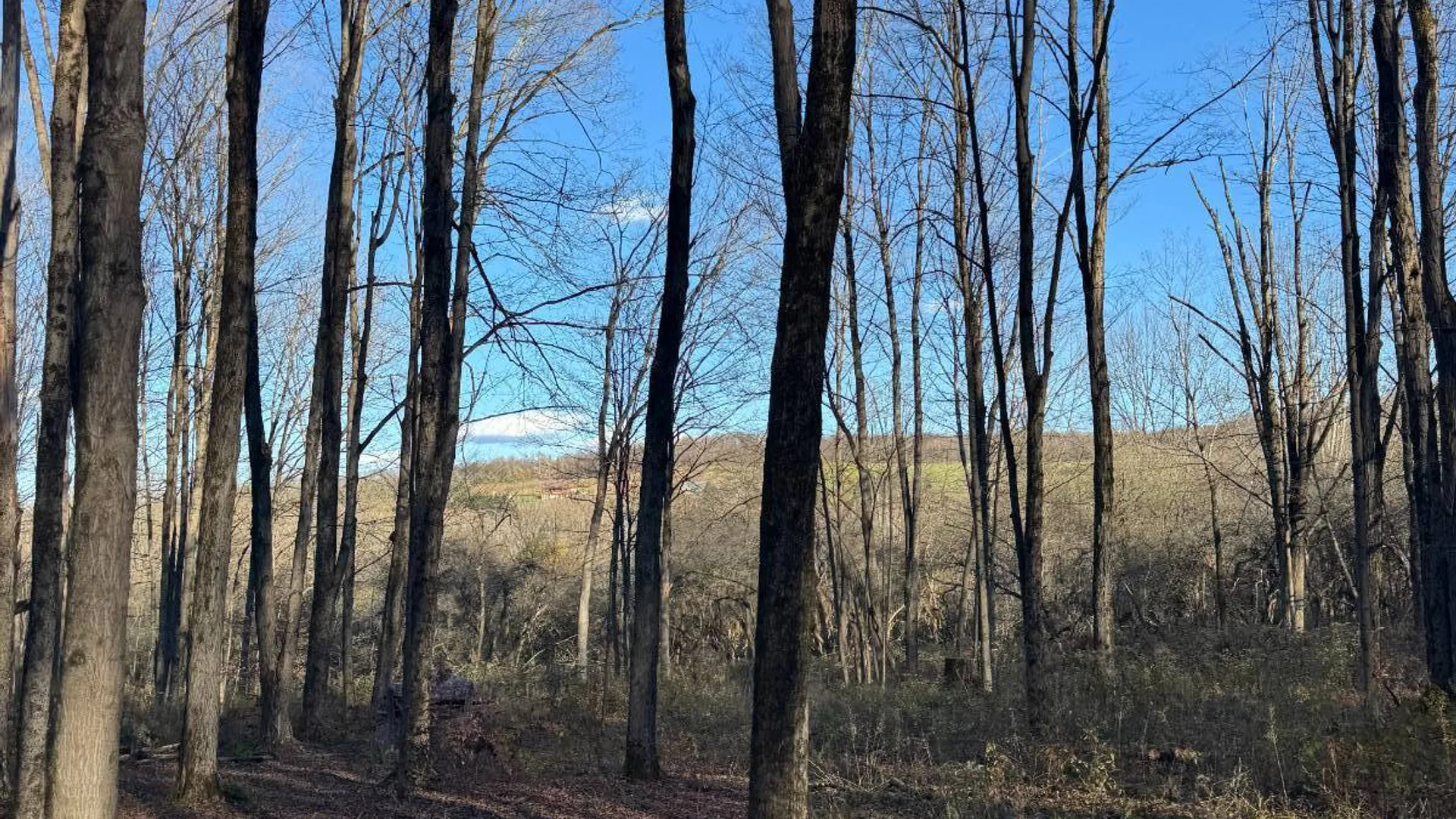 Property at 00 Town Line Rd, McGraw, NY 13101 16