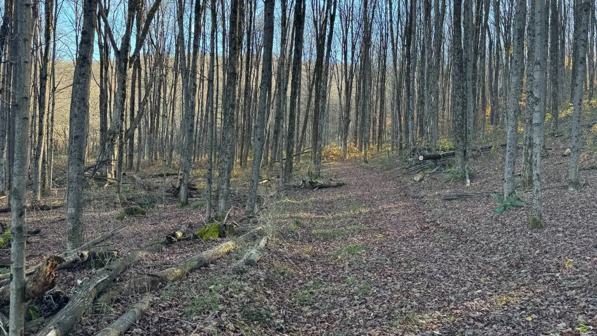 Property at 00 Town Line Rd, McGraw, NY 13101 17