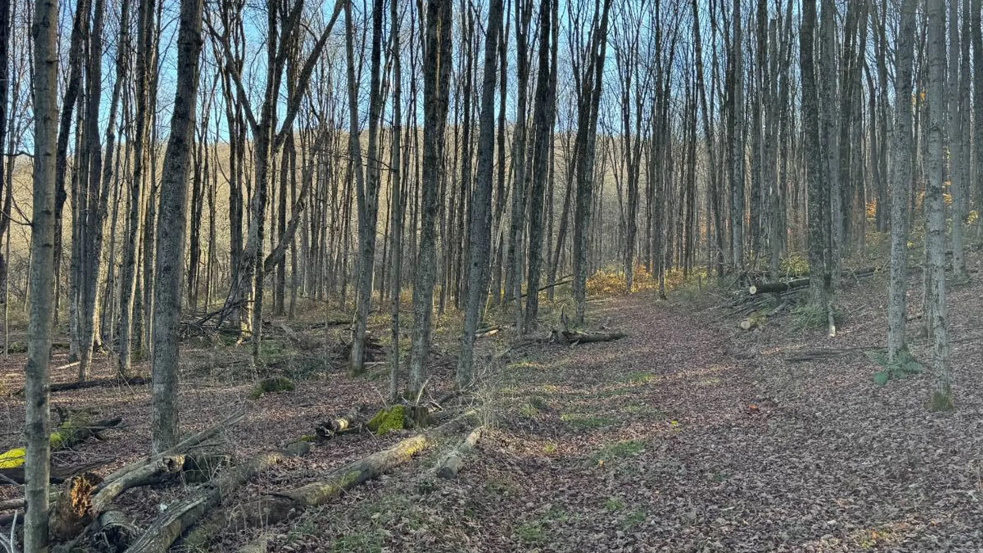 Property at 00 Town Line Rd, McGraw, NY 13101 18