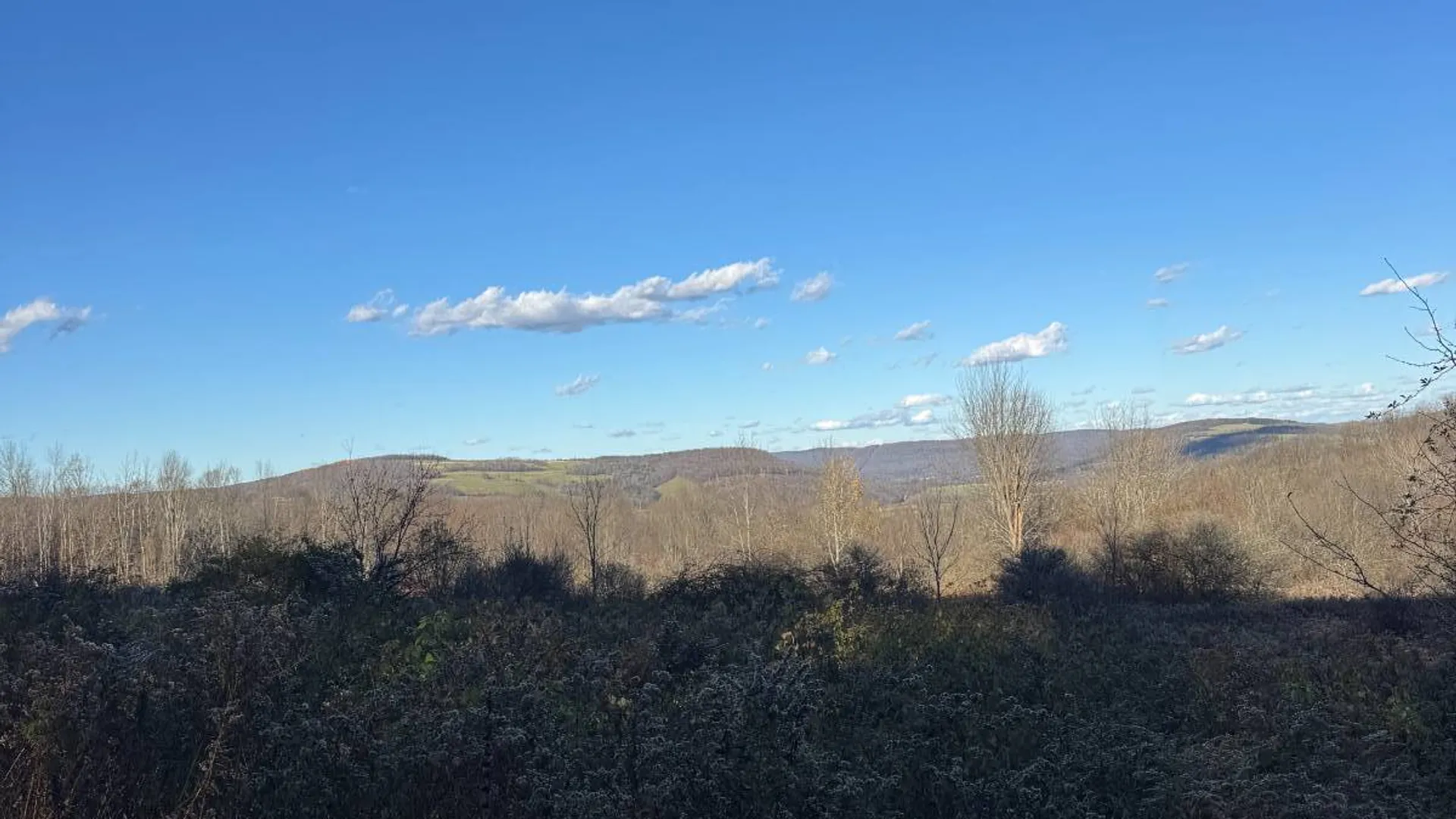 Property at 00 Town Line Rd, McGraw, NY 13101 19