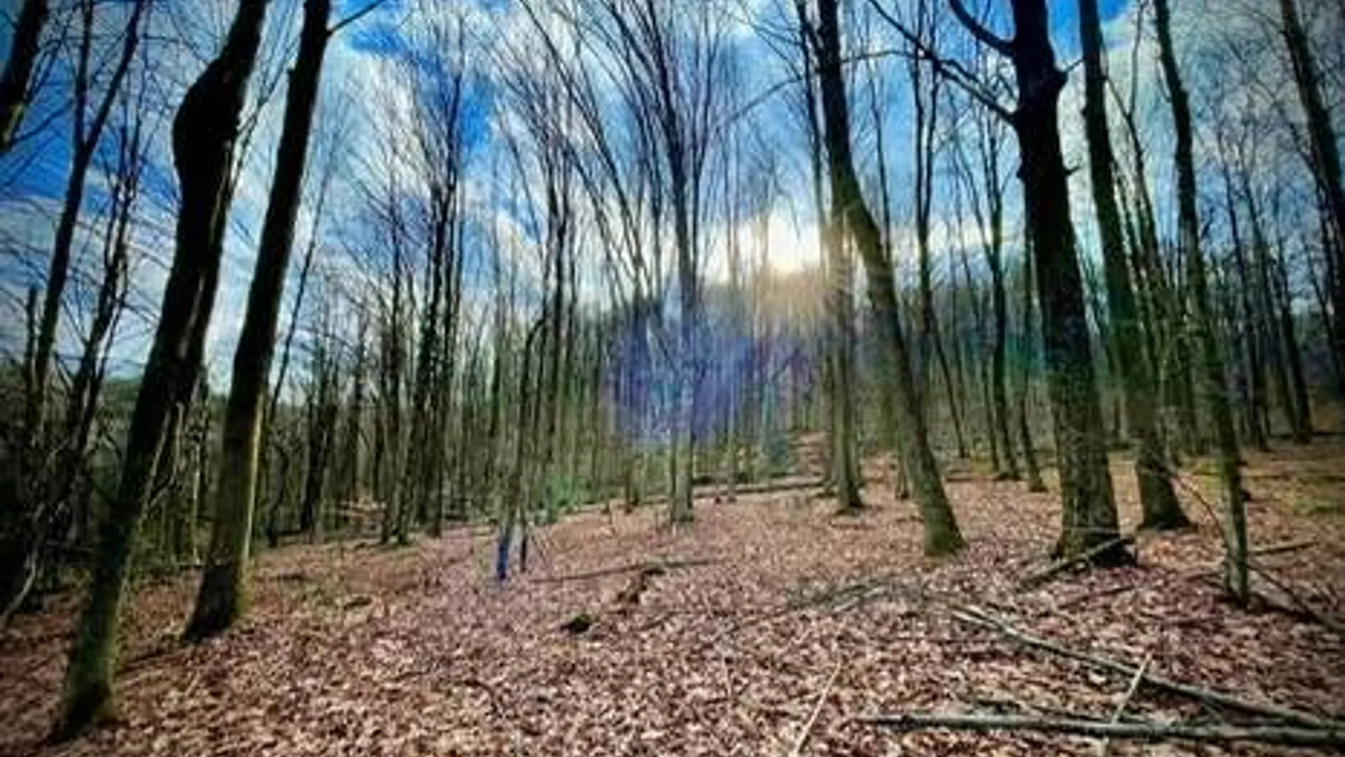 Property at 00 Town Line Rd, McGraw, NY 13101 2