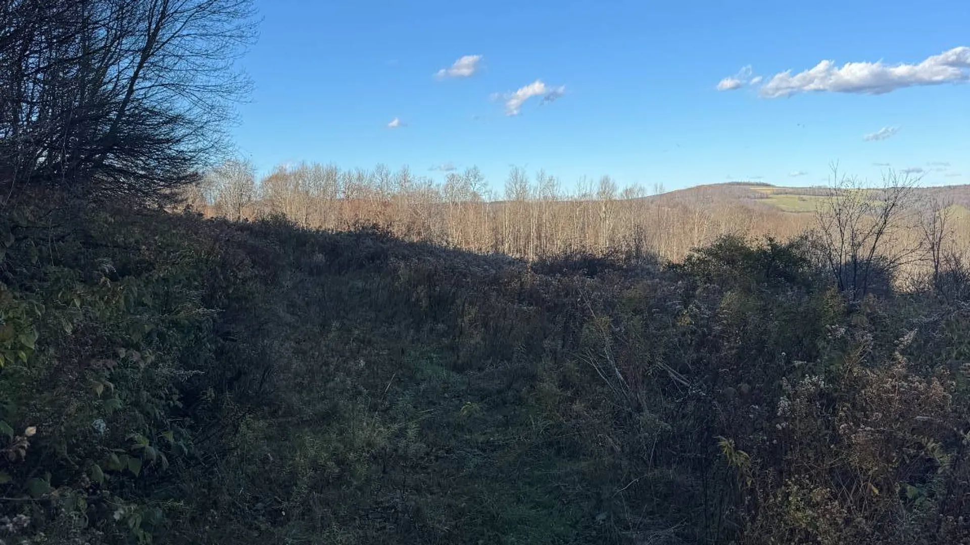 Property at 00 Town Line Rd, McGraw, NY 13101 20