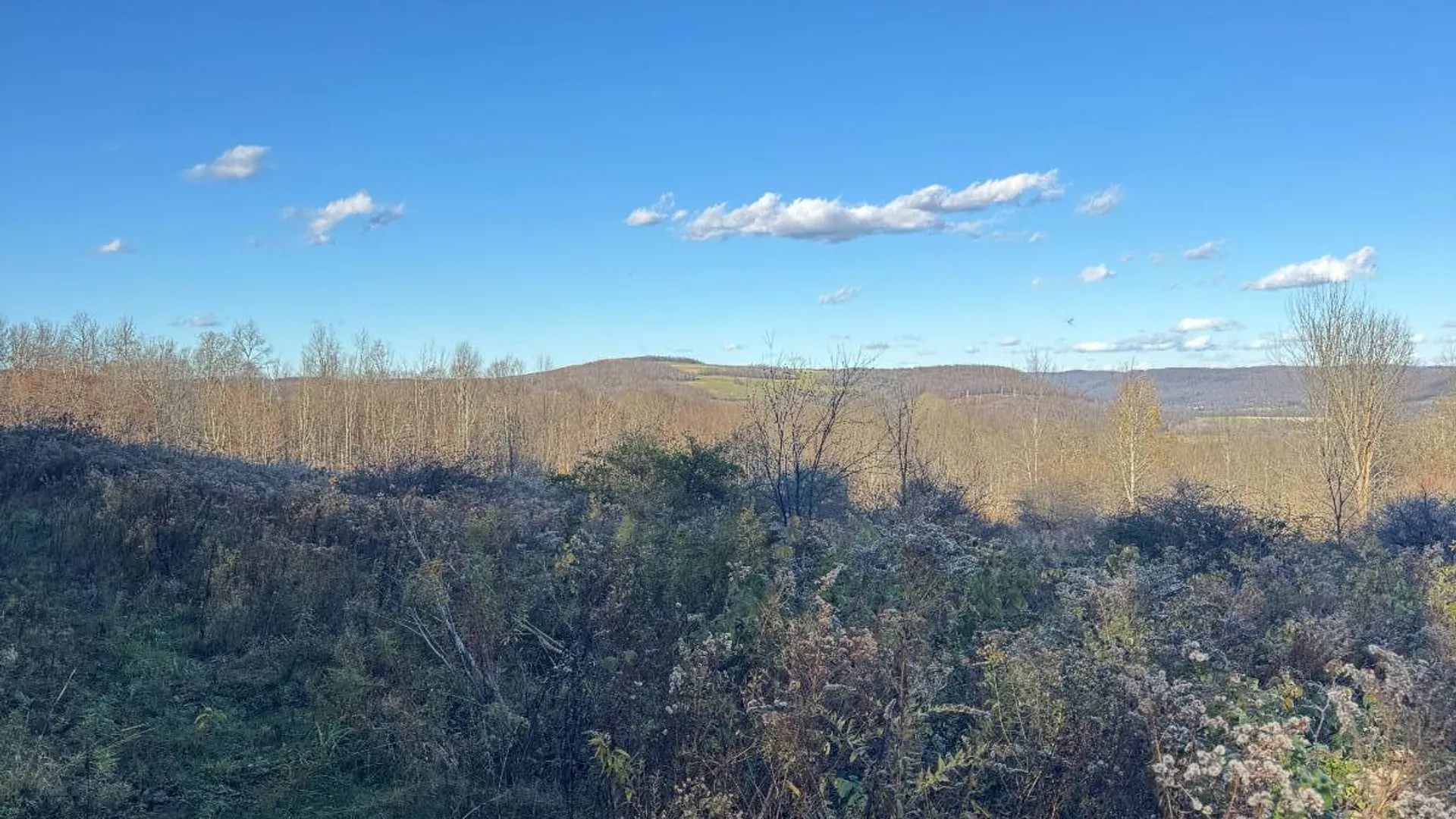 Property at 00 Town Line Rd, McGraw, NY 13101 21