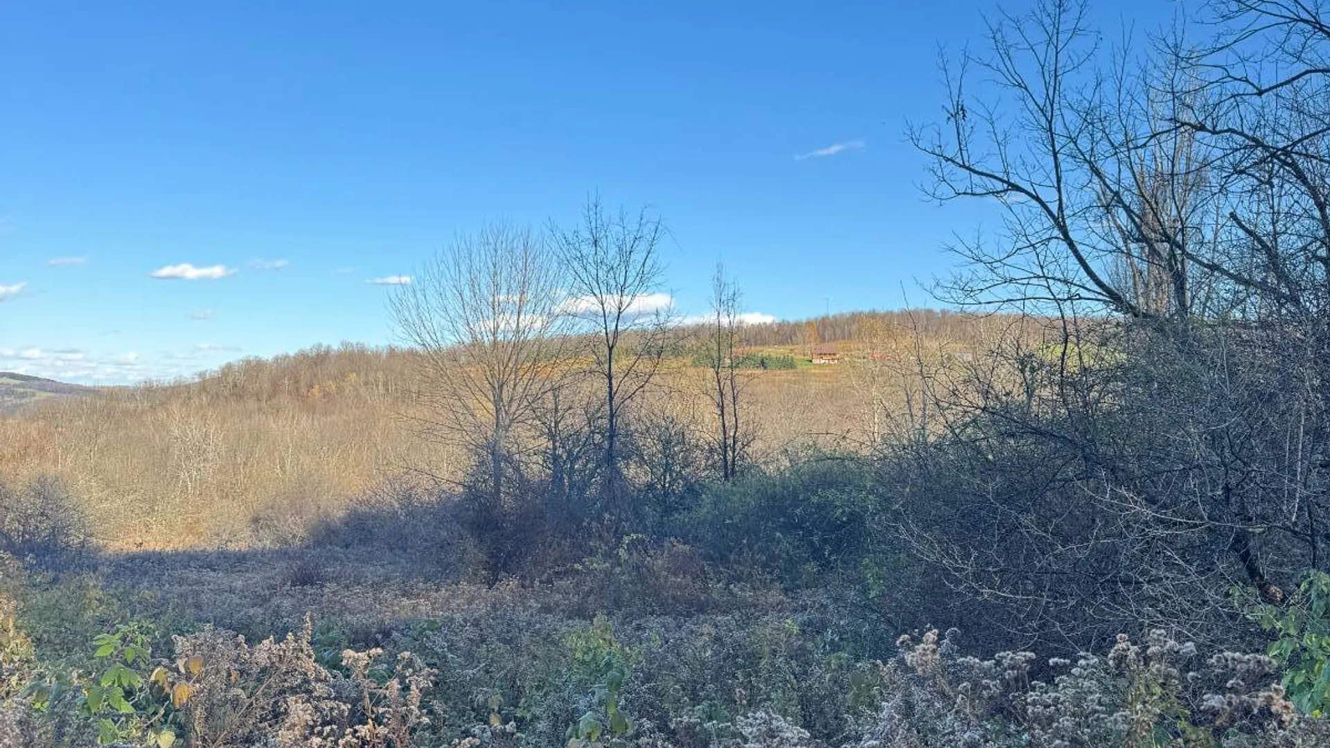 Property at 00 Town Line Rd, McGraw, NY 13101 24