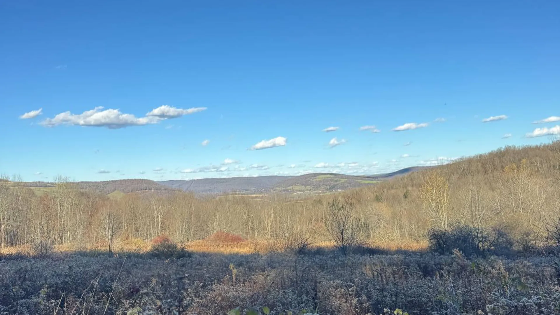 Property at 00 Town Line Rd, McGraw, NY 13101 25