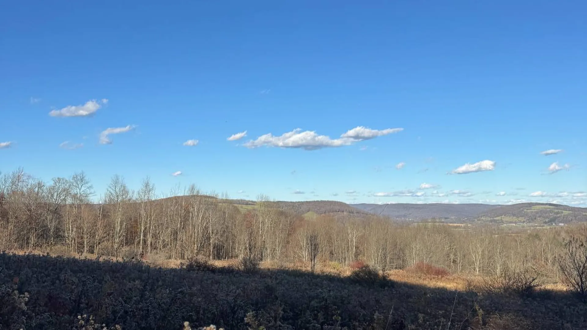 Property at 00 Town Line Rd, McGraw, NY 13101 26