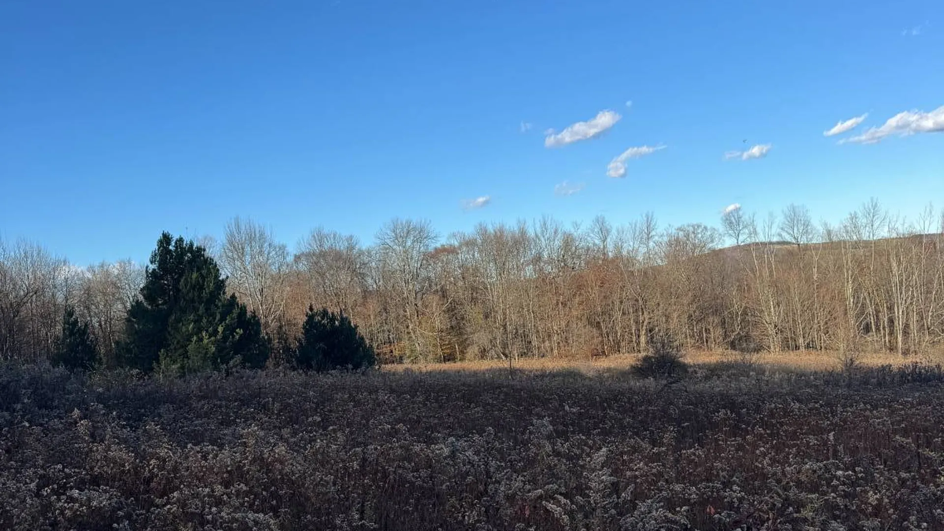 Property at 00 Town Line Rd, McGraw, NY 13101 27